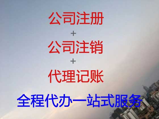 湖州公司个体工商户注册-公司减资变更